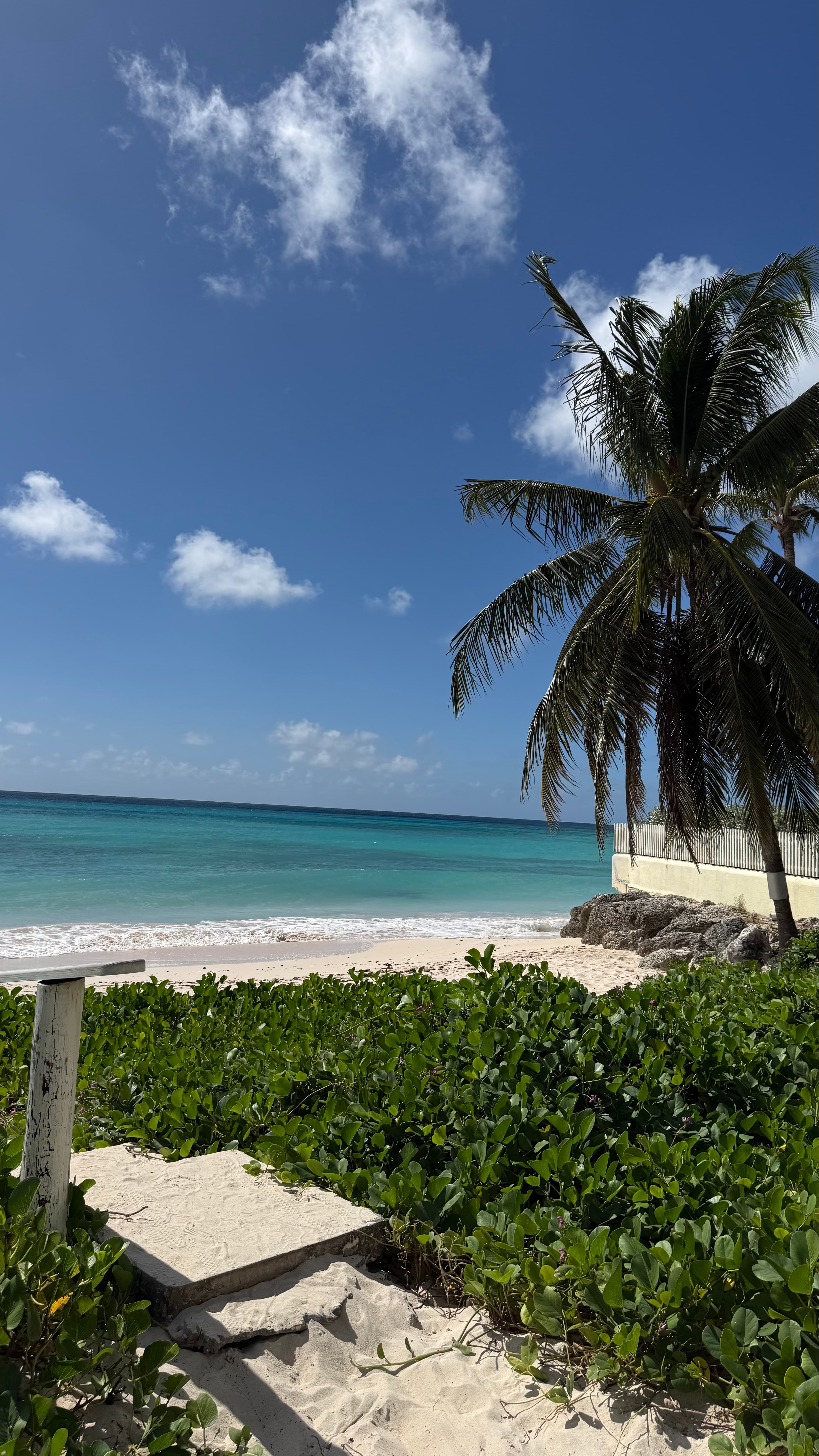 Calm South Coast beach with turquoise water and palms, a short walk from Maxwell Park Apartments.